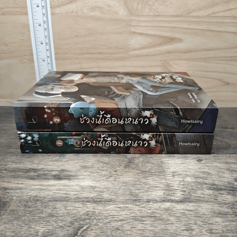 ช่วงนี้เดือนหนาว 2 เล่มจบ - Howlsairy รูปที่ 3