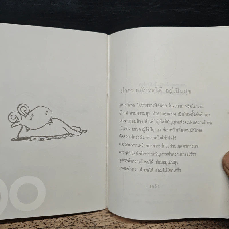 เหตุสมควรโกรธ...ไม่มีในโลก - พระอาจารย์มิตซูโอะ คเวสโก รูปที่ 9