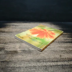 บอกนิสัยคนจากวันที่เกิด - ดร.อัมพร สุขเกษม รูปที่ 5