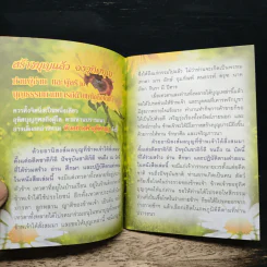 พุทธฤทธิ์ชินบัญชร รูปที่ 6