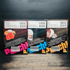 PUNCH! หมัดรักนักชก 3 เล่มจบ รูปที่ 2