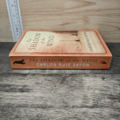 The Shadow of the Wind - Carlos Ruiz Zafon รูปที่ 2