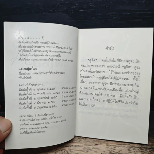 แด่เธอผู้มาใหม่ เรื่องเรียบง่ายและธรรมดาที่เรียกว่าธรรมะ - สันตินันท์ รูปที่ 6