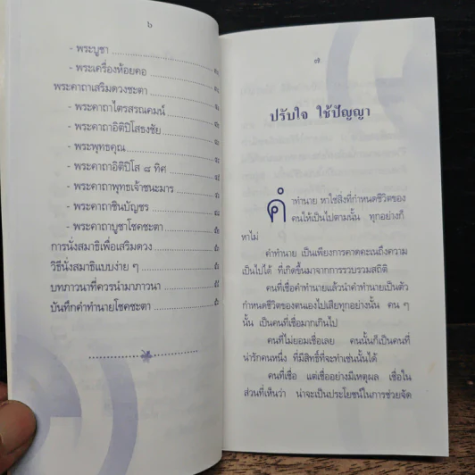 พรหมลิขิตชีวิตคุณ วันอาทิตย์ - ศักดิ์สิทธิ์ สิทธินันท์ รูปที่ 8