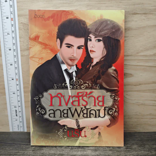 หงส์ร้ายลายพยัคฆ์ - นริน รูปที่ 1