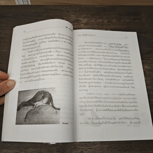 คนรักหมา - คึกฤทธิ์ ปราโมช รูปที่ 7