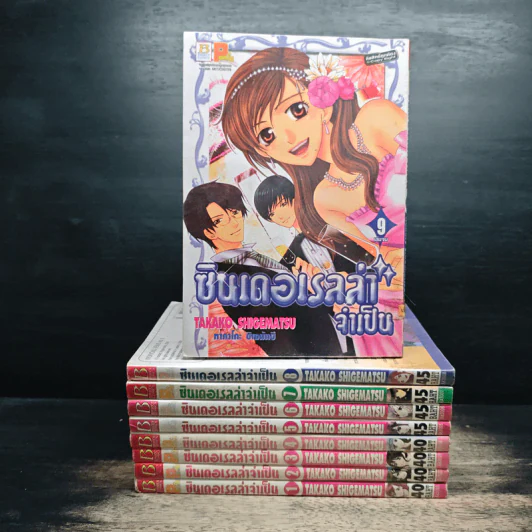 ซินเดอเรลล่าจำเป็น 9 เล่มจบ รูปที่ 1