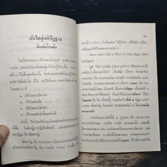 บันไดสู่สติปัฏฐาน ตอน 1 - หลวงพ่อเสือ รูปที่ 8
