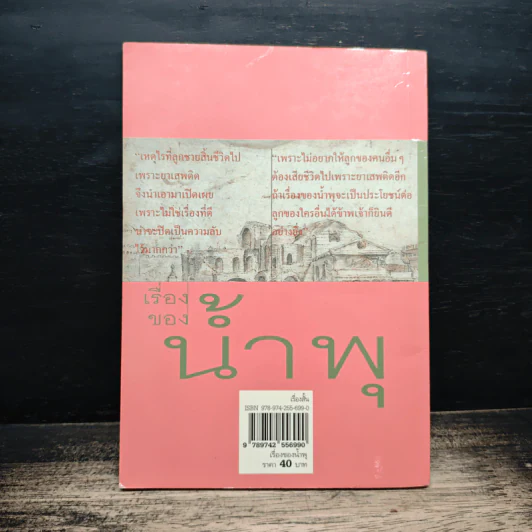เรื่องของน้ำพุ - วงศ์เมือง นันทขว้าง รูปที่ 2