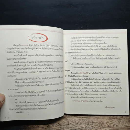Grammar หน้าด้าน #1 - เฑียร ธรรมดา รูปที่ 6