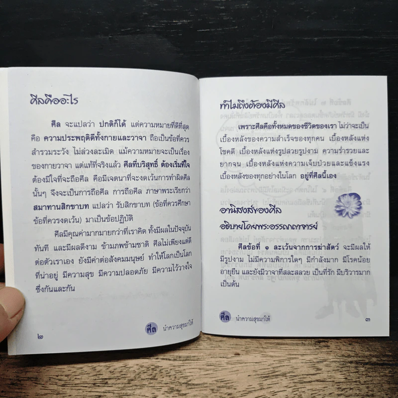 ศีลนำความสุขมาให้ รูปที่ 6