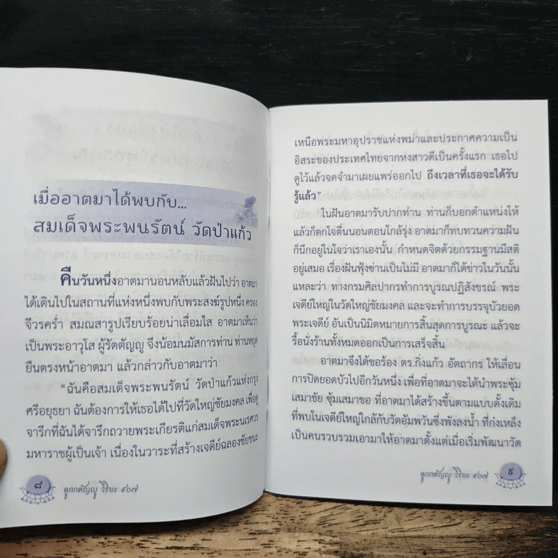 ลูกกตัญญู แด่เธอผู้เป็นที่รัก รูปที่ 8