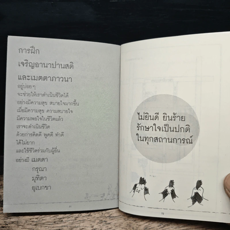 สันโดษ เคล็ดลับของความสุข - พระอาจารย์มิตซูโอะ คเวสโก รูปที่ 9