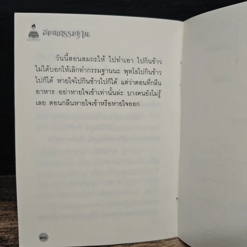 สมถกรรมฐาน - หลวงพ่อปราโมทย์ ปาโมชฺโช รูปที่ 8