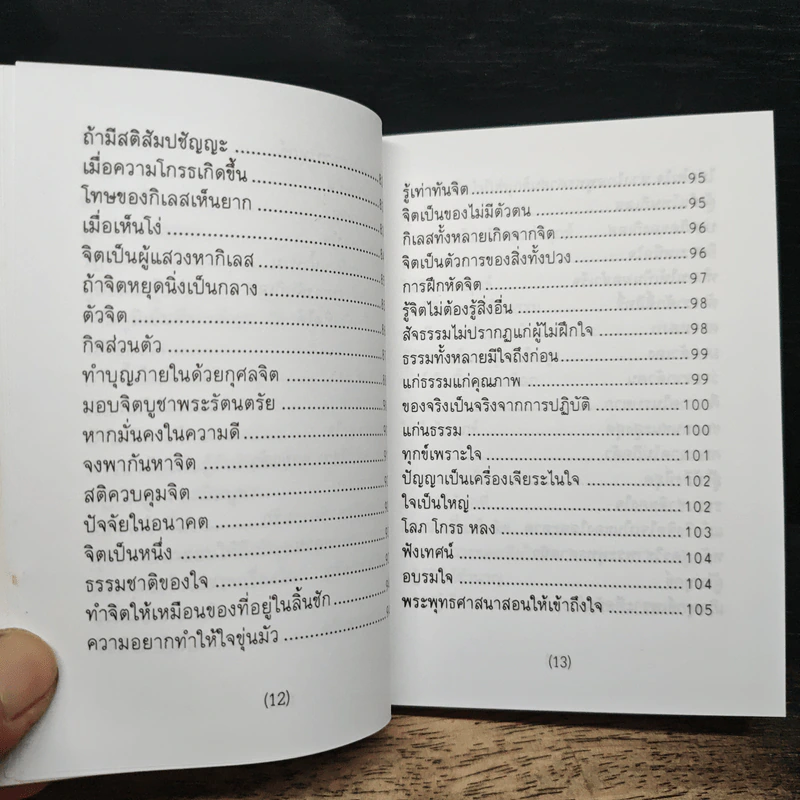 เทสโกวาท 100 ปี รูปที่ 11