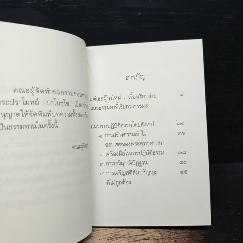 แด่เธอผู้มาใหม่ เรื่องเรียบง่ายและธรรมดาที่เรียกว่าธรรมะ - สันตินันท์ รูปที่ 7