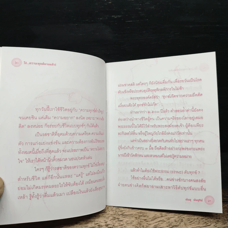 ใช่...ความทุกข์ตายแล้ว - พันสุ พันสุรีย์ รูปที่ 6
