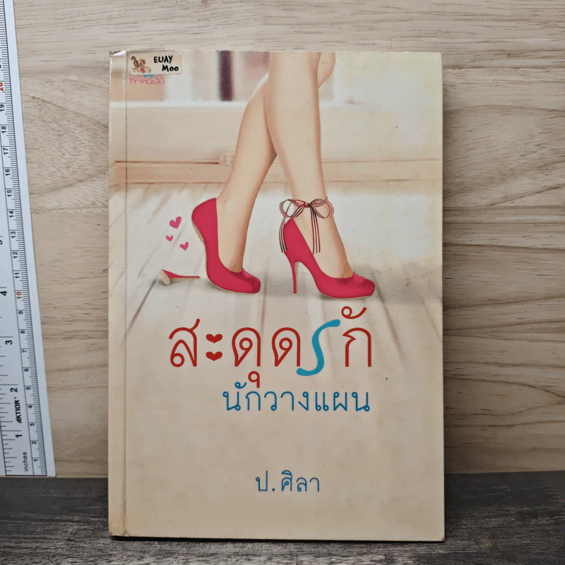 สะดุดรักนักวางแผน - ป.ศิลา รูปที่ 1