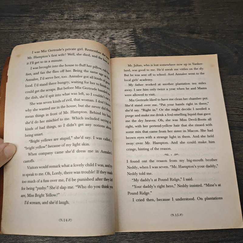 Numbering All the Bones - Ann Rinaldi รูปที่ 6