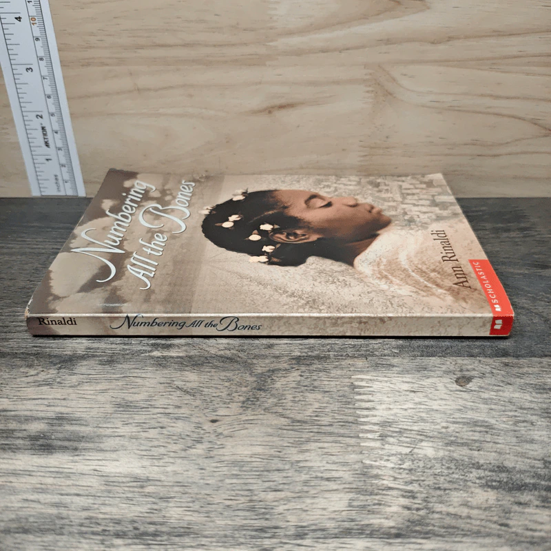 Numbering All the Bones - Ann Rinaldi รูปที่ 2