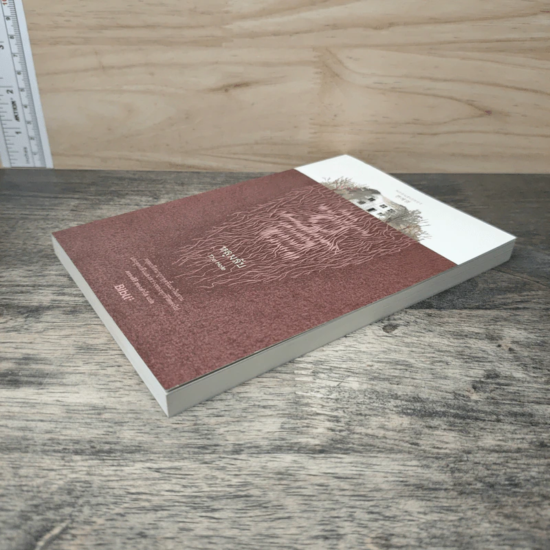 หลุมลับ The Hole - Bibll รูปที่ 3