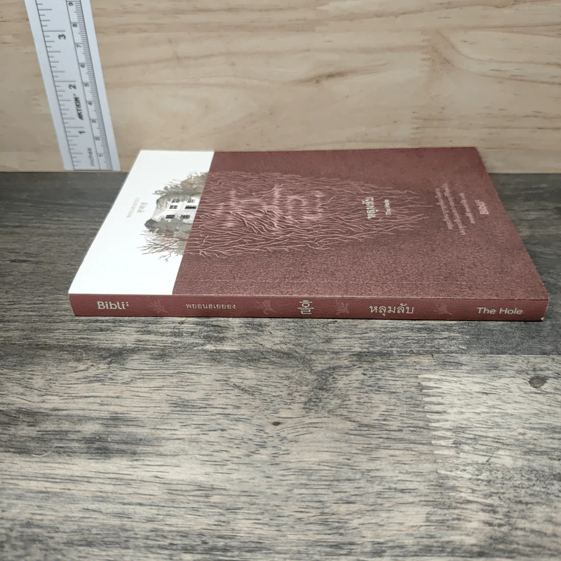 หลุมลับ The Hole - Bibll รูปที่ 2