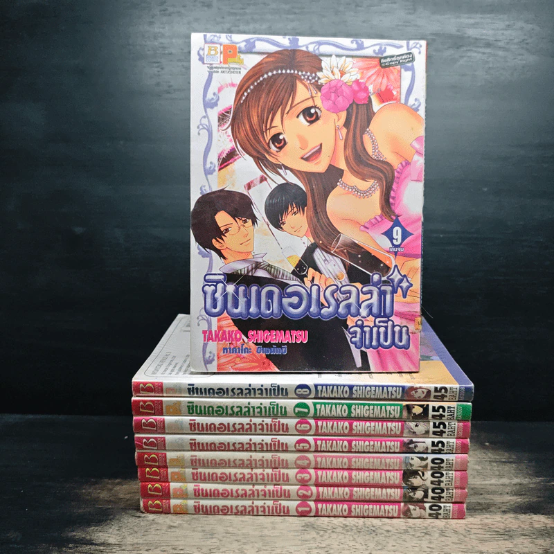 ซินเดอเรลล่าจำเป็น 9 เล่มจบ รูปที่ 1