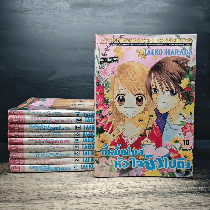 กี่หมื่นไมล์หัวใจยังไปถึง 10 เล่มจบ - Taeko Harada รูปที่ 1
