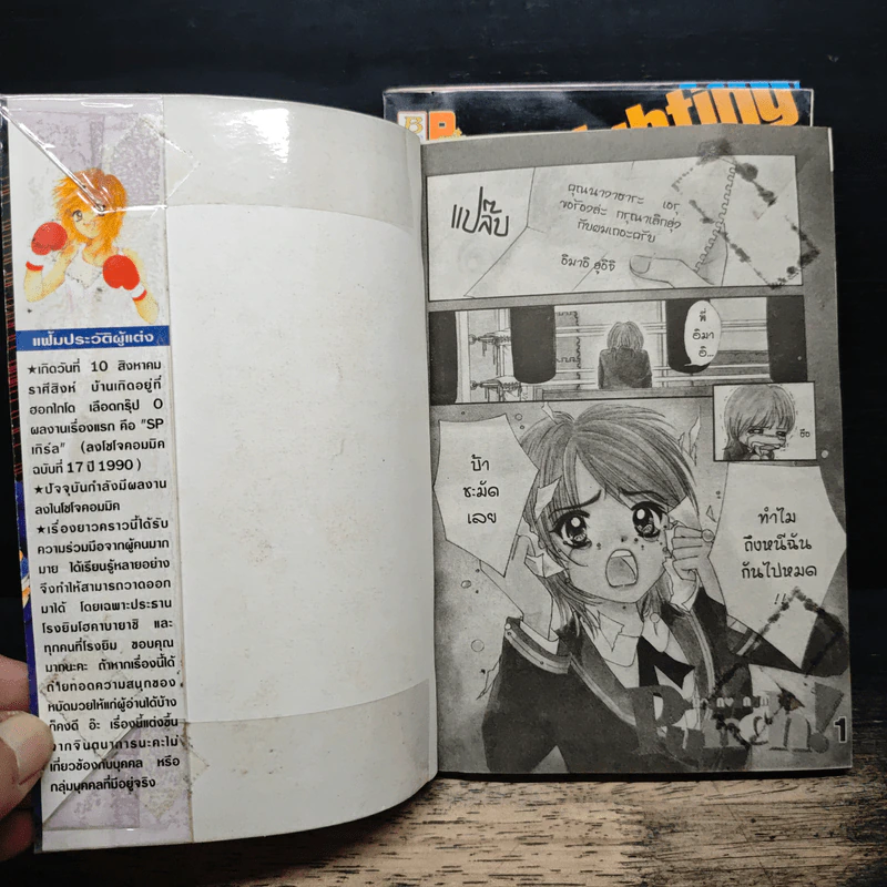 PUNCH! หมัดรักนักชก 3 เล่มจบ รูปที่ 6