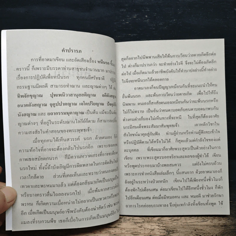 หนีนรก - พระราชพรหมยาน รูปที่ 7
