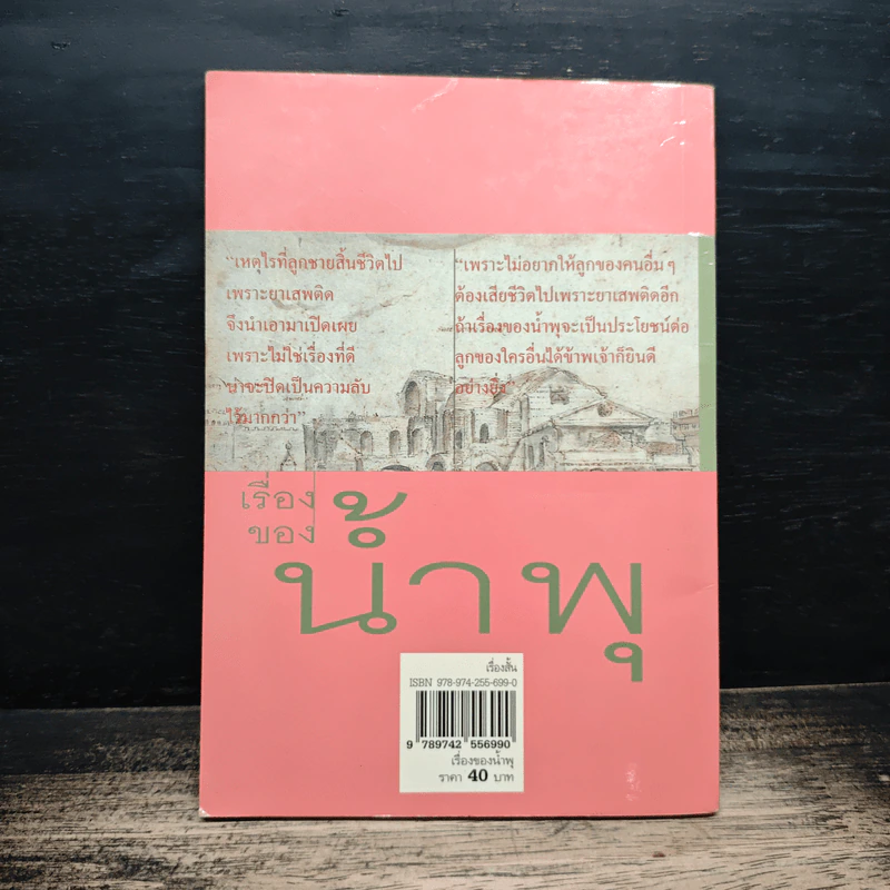เรื่องของน้ำพุ - วงศ์เมือง นันทขว้าง รูปที่ 2