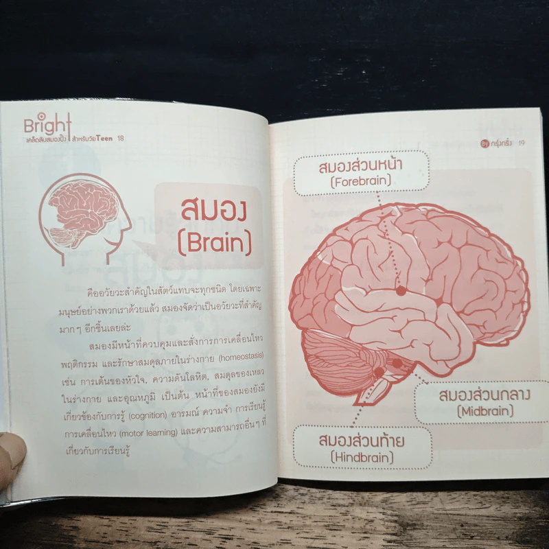 Bright เคล็ดลับสมองปิ๊งสำหรับวัย Teen - กรุ๋งกริ๋ง รูปที่ 10