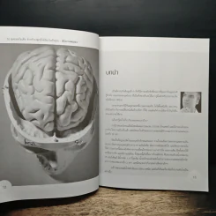 อัปเกรดสมอง Upgrade Your Brain - John Middleton รูปที่ 10