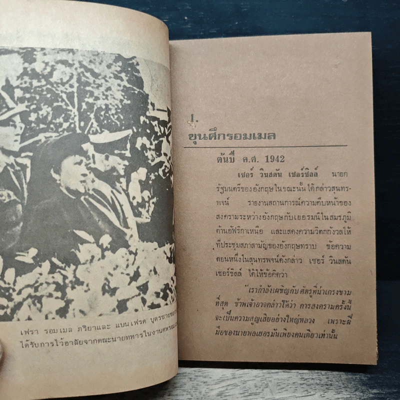 รอมเมล จิ้งจอกทะเลทราย รูปที่ 10