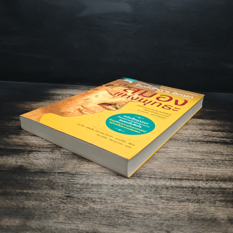 สมองแห่งพุทธะ : Buddha's Brain - Richard Mendius (ริชาร์ด แมนดิอัส), Rick Hanson (ริค แฮนสัน) รูปที่ 4