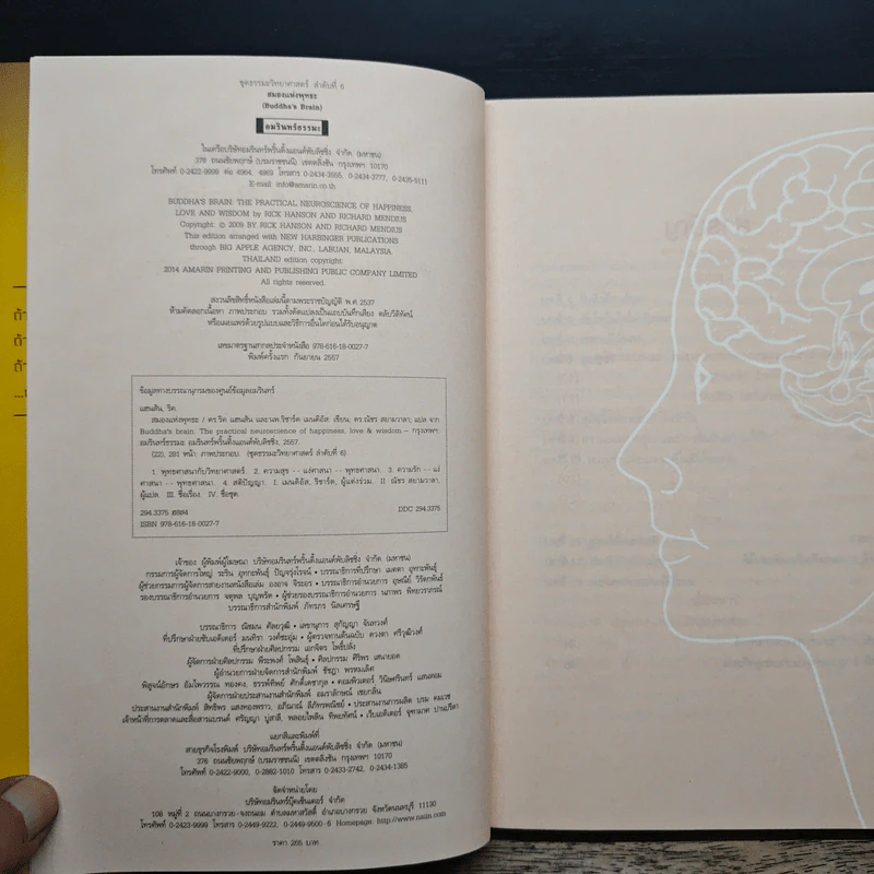 สมองแห่งพุทธะ : Buddha's Brain - Richard Mendius (ริชาร์ด แมนดิอัส), Rick Hanson (ริค แฮนสัน) รูปที่ 7
