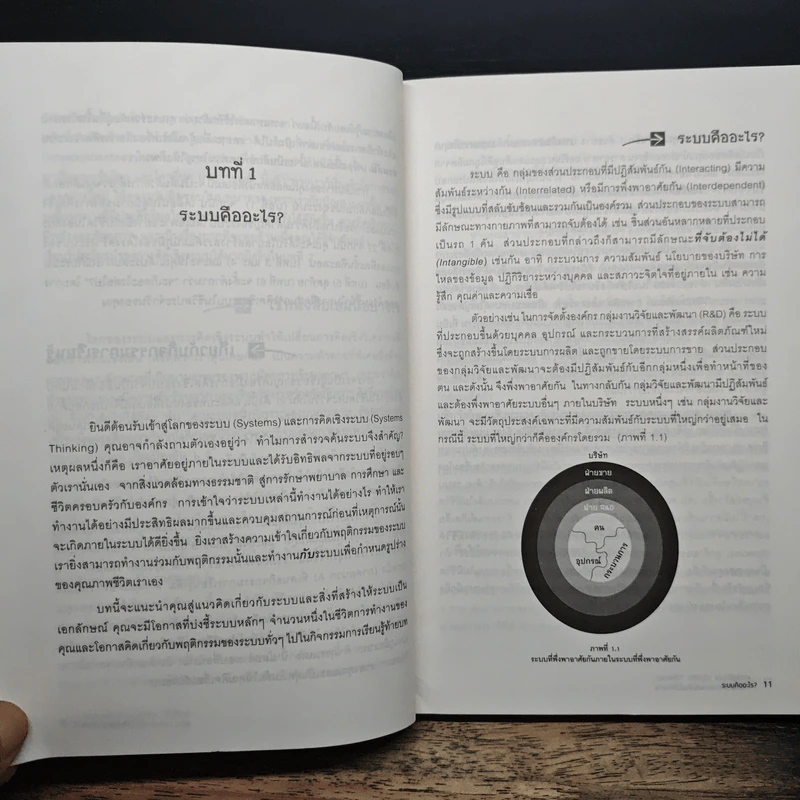 การคิดเชิงระบบ Systems Thinking เครื่องมือจัดการความซับซ้อนในโลกธุรกิจ - Virginia Anderson รูปที่ 8