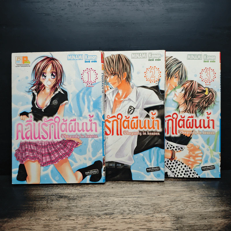 คลื่นรักใต้ผืนน้ำ 3 เล่มจบ - Minami Kanan รูปที่ 1