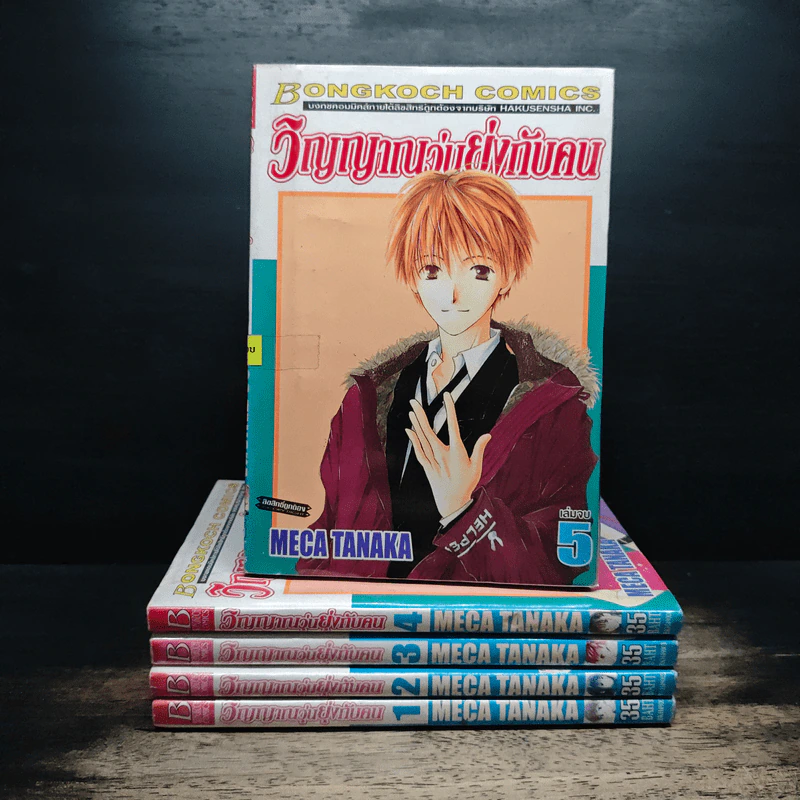 วิญญาณวุ่นยุ่งกับคน 5 เล่มจบ - Meca Tanaka รูปที่ 1