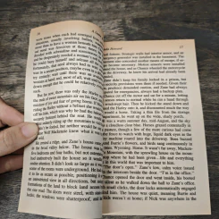 A Game of Chance - Linda Howard รูปที่ 7