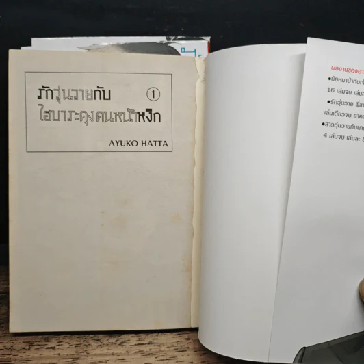 รักวุ่นวายกับไฮบาระคุงคนหน้าหงิก 3 เล่มจบ - Ayuko Hatta รูปที่ 5
