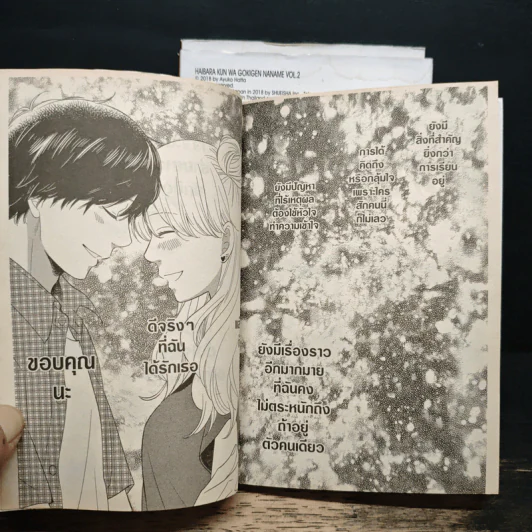 รักวุ่นวายกับไฮบาระคุงคนหน้าหงิก 3 เล่มจบ - Ayuko Hatta รูปที่ 9