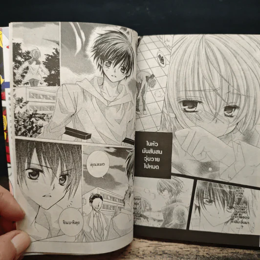 มิโดริจังกับเจ้าชายทั้งสิบเอ็ด 10 เล่มจบ รูปที่ 8
