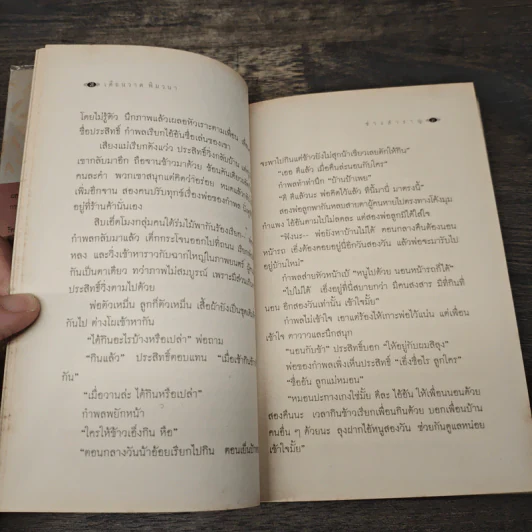 ช่างสำราญ - เดือนวาด พิมวนา รูปที่ 7