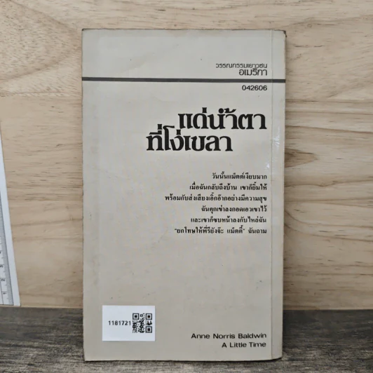แด่น้ำตาที่โง่เขลา - แอนน์ บอลด์วิน รูปที่ 5