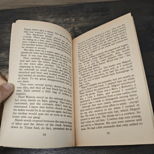 A Painted House - John Grisham รูปที่ 7