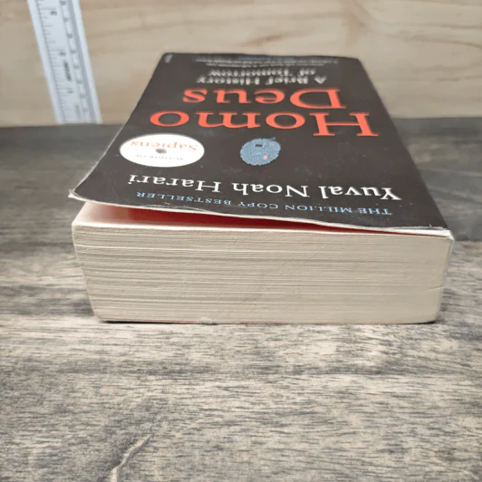 Homo Deus: A Brief History of Tomorrow - Yuval Noah Harari รูปที่ 4