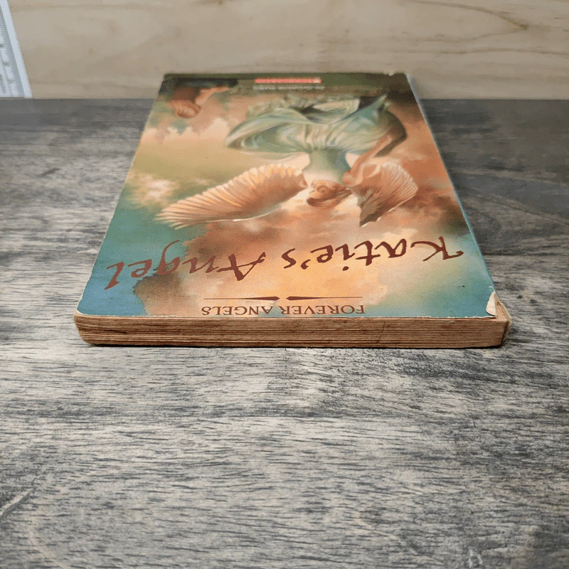 Katie's Angel - Suzanne Weyn รูปที่ 4