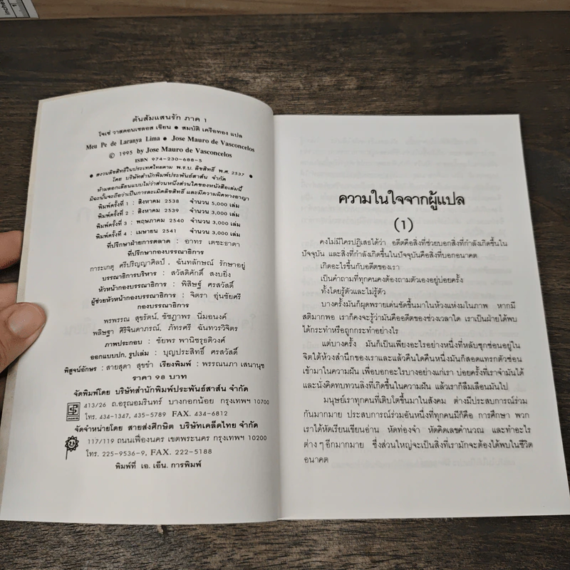 ต้นส้มแสนรัก ภาค 1 - โจเซ่ วาสคอนเซลอส, สมบัติ เครือทอง รูปที่ 6