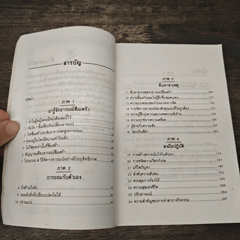 ทำตัวอย่างไร เมื่อหัวใจซึมเศร้า - ดร.เอเลียต บี. รูปที่ 8